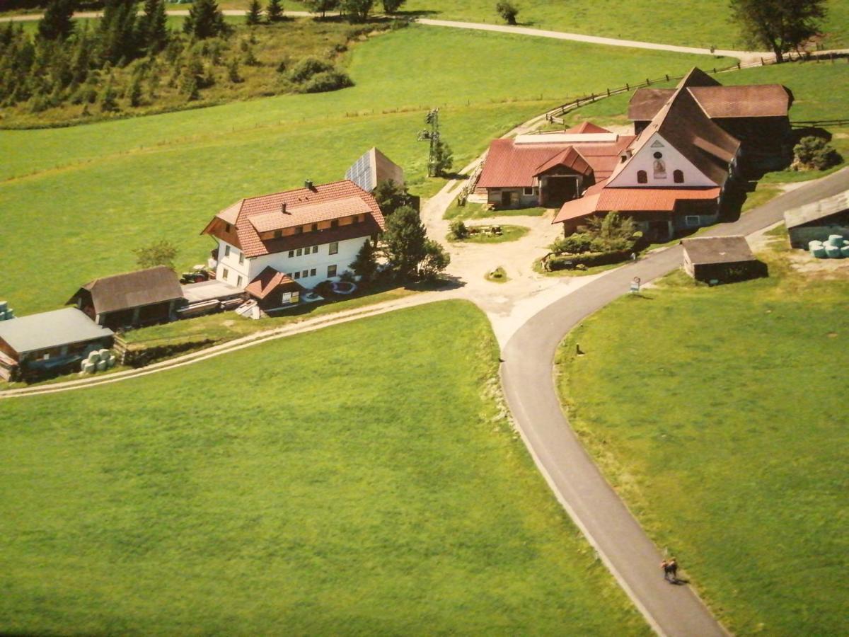 Zeutschach Erholung Am Bauernhof Bei Familie Seidl / Messner 빌라 외부 사진