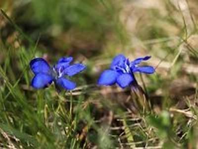 Zeutschach Erholung Am Bauernhof Bei Familie Seidl / Messner 빌라 외부 사진